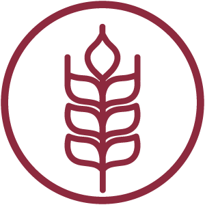 Icon of gluten within a circle.